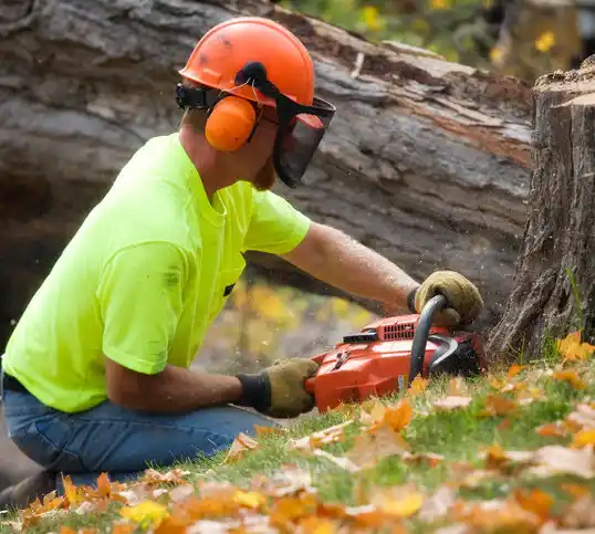 tree services Abbeville